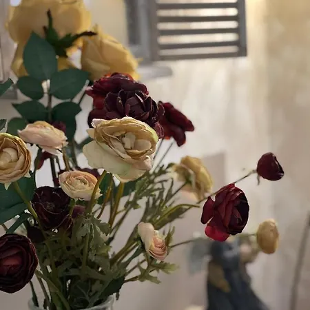 San Felice House Florence